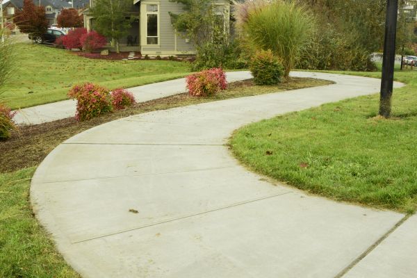 Cost of Concrete Sidewalk Replacement in Roseville