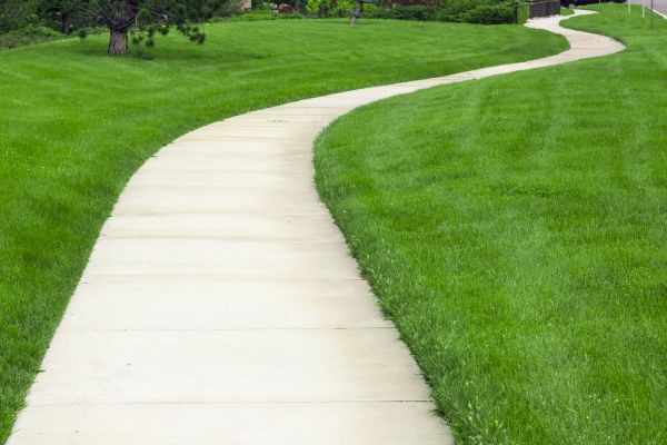Cost of Sidewalk Paving in Roseville